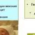 Родовые травмы головного мозга