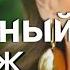 Неверный муж