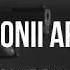 Rokit Bay Микрофоны ард Remix Lyrics