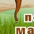 Как погибли мамонты