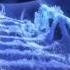 Frozen Let It Go 25 Languages