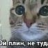 Вххвхвхв не по теме канала кошечки хорошие лишнего нескажут неосудят дажеесли вамэтоневажно