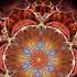 528 Hz Activate Self Healing