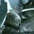 Disturbed Another Way To Die Music Video
