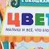 Видеообзор книги Цвета