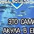 САМАЯ ГЛУБОКОВОДНАЯ АКУЛА ЕВРОПЫ VEGA SQUADRON DOTA 2