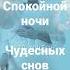 Спокойной ночи Shorts стихи спокойнойночи