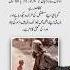 Quotes Music Entertainment Bollywood Song 4line Love Sadpoetry Poetry Urdupoetry Ytshorts