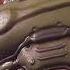 Isn T It Lovely The Doom Slayer S Fate