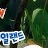 라바 아일랜드 할로윈 스페셜 Netflix