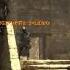 XX LIQuD HiT XX MW3 Game Clip