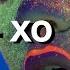 OZZIE XO SLOWED