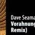Dave Seaman Josh Gabriel Vorahnung Secret Panda Society Remix DP019