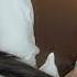 Asmr Sleep Stream Beautiful Girl Sleeping Sleepstream Sleepstreamgirl Realsound Shorts Snoring