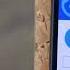 Google Duo Review How To Use And How To Create Google Duo Account
