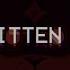 2023 REMAKE FADING KITTEN SYNDROME BROKENSTAR PMV WARRIOR CATS