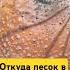Откуда песок в красном мухоморе 2 мухоморный