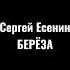 Сергей Есенин Берёза