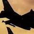 People Are Awesome Pilot Fighter Driftin D Loo