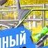 Шоссейный велосипед против разделочного Почему БОЛЬШИЕ расстояния я езжу на велосипеде для РАЗДЕЛКИ