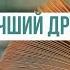 Книга лучший друг человека