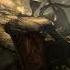 Skyrim Moments 224 Shorts Pc Skyrim
