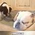 When Kids Try To Sleep In Your Bed RxCKSTxR Comedy Voiceover