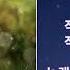 차라리 아프자 수상한 장모 O S T 이예담