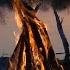 4K Campfire Near River Evening Ambient Birds Crackling Sounds Relaxing Video Ultra Full HD