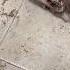 When The Catnip Kicks In Funny Shorts Youtubeshorts Cat