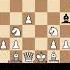 ЛОВУШКА 2 Скандинавская Защита Chess шахматы ловушка