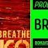 Prodigy Знищує Віруси Breathe Кличко мешап