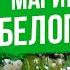 Монохромный сад с Оксаной Пискаревой Цветочные композиции в белом оттенке
