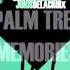 Oliver Schories Joris Delacroix Palm Tree Memories Original Mix