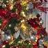 FELIZ 24 DE DICIEMBRE DIA DE PASCUA Merrychristmas Shorts Navidad Pascua
