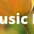 Spring In My Step Silent Partner No Copyright Background Music Free Music Library