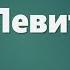 Аудио Библия 0101 Левит Глава 11 LET S QT