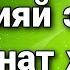 8 Хирияй эбел Аминат хвей