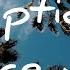 Riptide Vance Joy 1 Hour Loop Lyrics