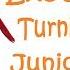 Transforming Eastern Exotica Review 134 Turning Mecard Junior Phoenix