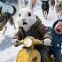 Little Rabbit Saves The Baby From Monster Dogs Animalanimation Hearttouching Youtubeshorts