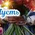 С Добрым Утром Несу Добро в Ладошках Пожелание Хорошего Дня Добрые Пожелания Друзьям Открытка