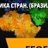 Латинская Америка Комплексная характеристика стран Бразилия Венесуэла Аргентина