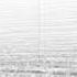THX DeepNote Scrolling Spectrogram
