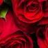 Beautiful Melodies That Will Make You Cry The Most Beautiful Spring Melodies Sergey Grischuk