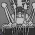 Silly Symphony Skeleton Dance Musique Albadesro