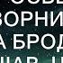 Придя на свалку по просьбе беспризорника врач спасла бродягу А услышав что он шепчет в бреду