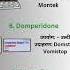 Montelukast Domperidone Loratadine