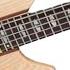Bull Fighter 5 String Bass Full Breakdown And Demo