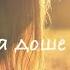 Как Питта доше пережить лето Аюрведа для всех